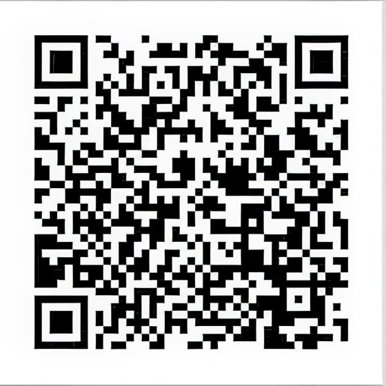 QR CODE - Visura camerale